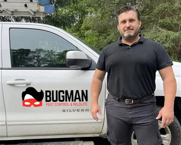 BUGMAN Pest Control & Wildlife truck on a job in Henrietta, NY