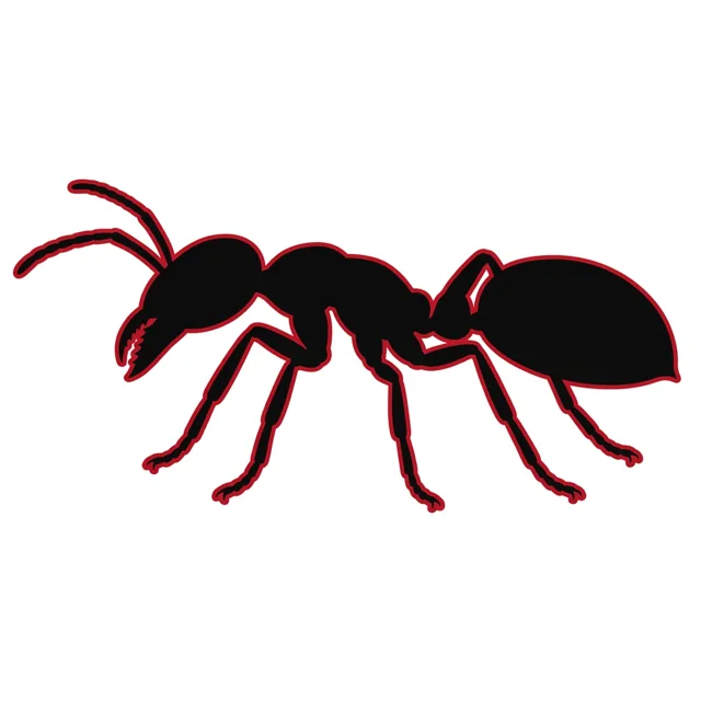 Black silhouette of an ant with a red outline