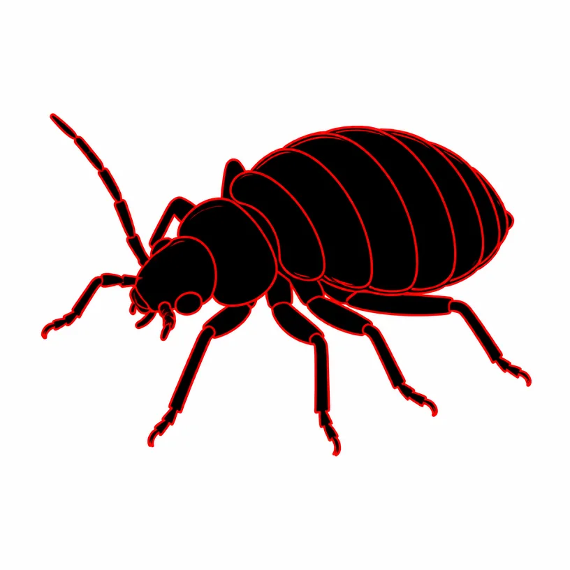 Bed Bug Extermination Rochester