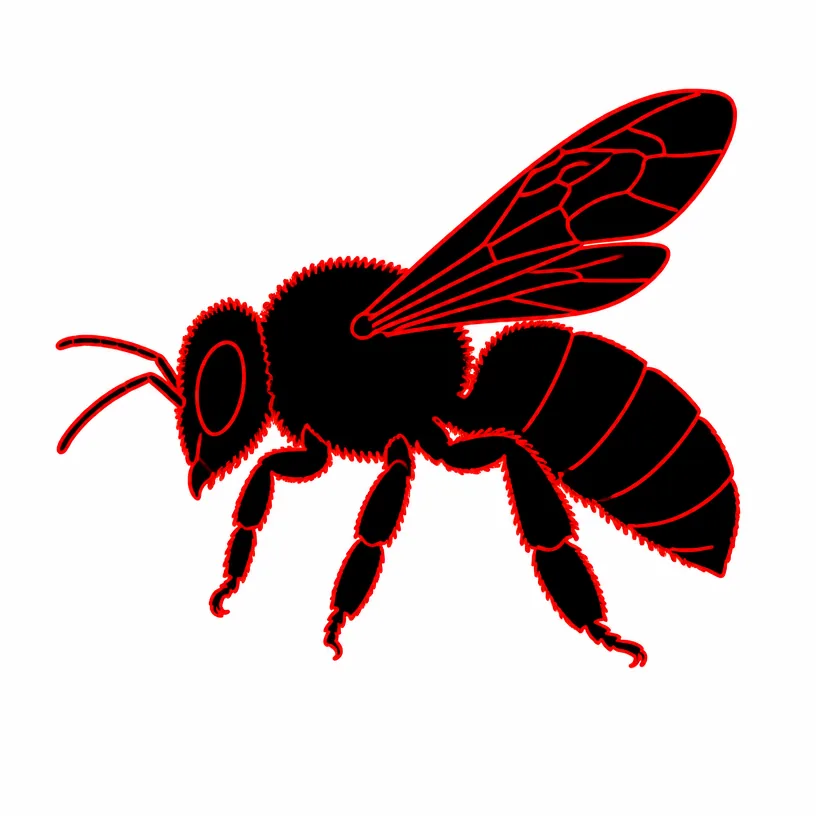 Bee Extermination Rochester