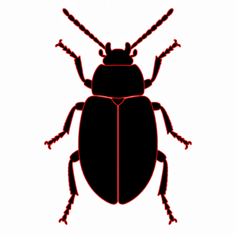 Bug & Insect Extermination Rochester