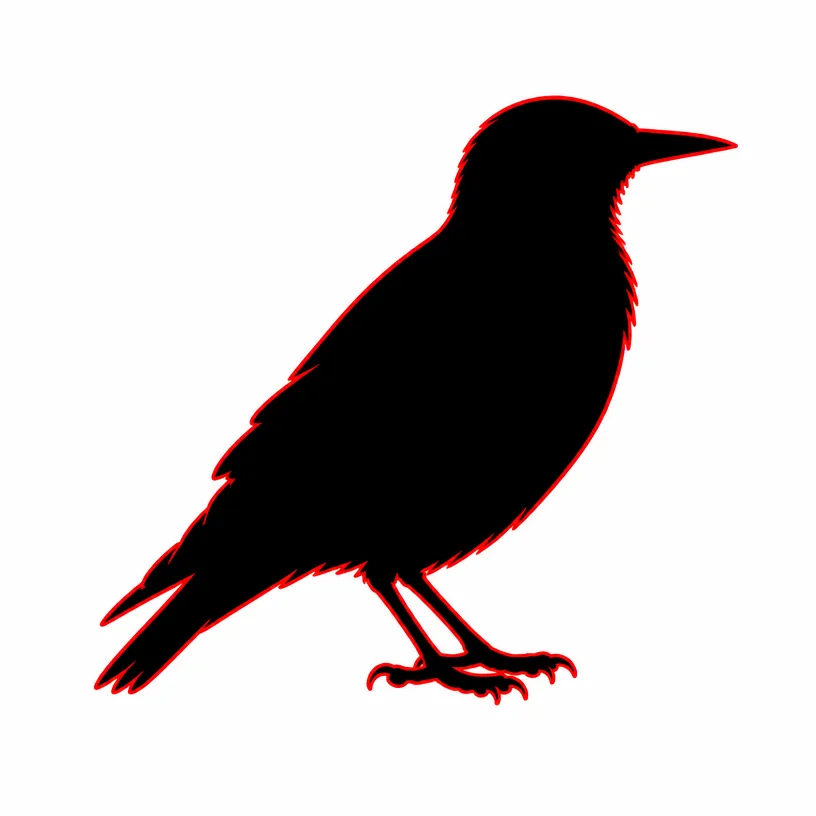 Bird Control & Nest Removal Rochester