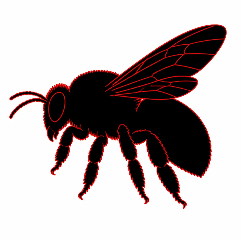 Carpenter Bee Treatment Rochester