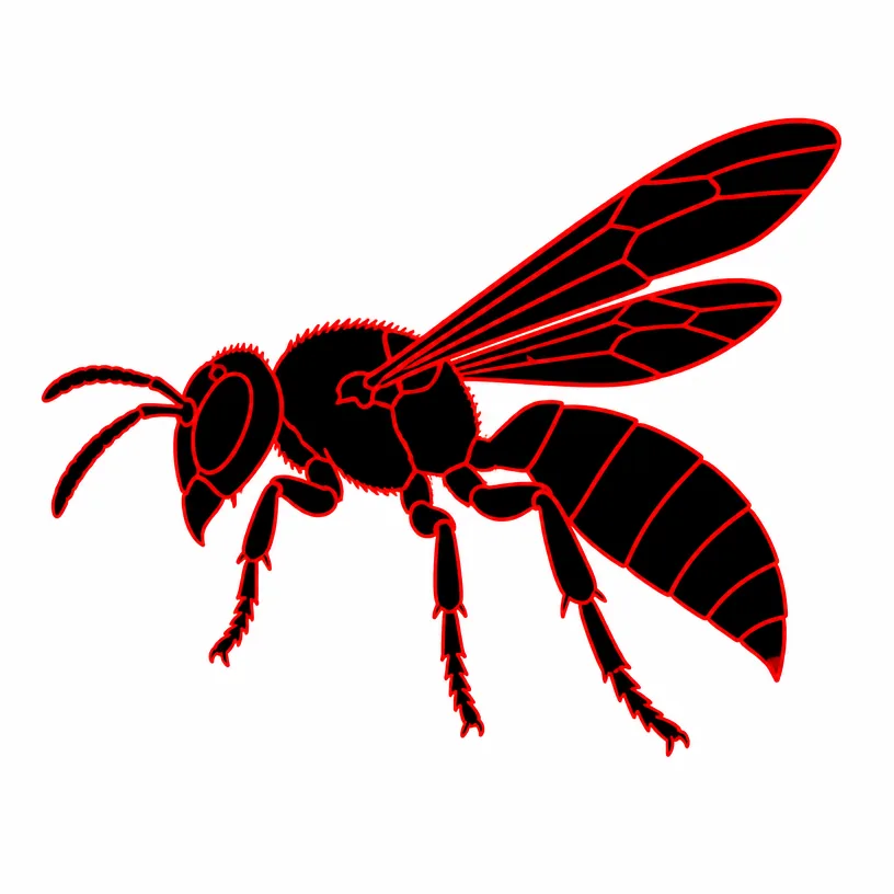 Hornet & Wasp Extermination Rochester