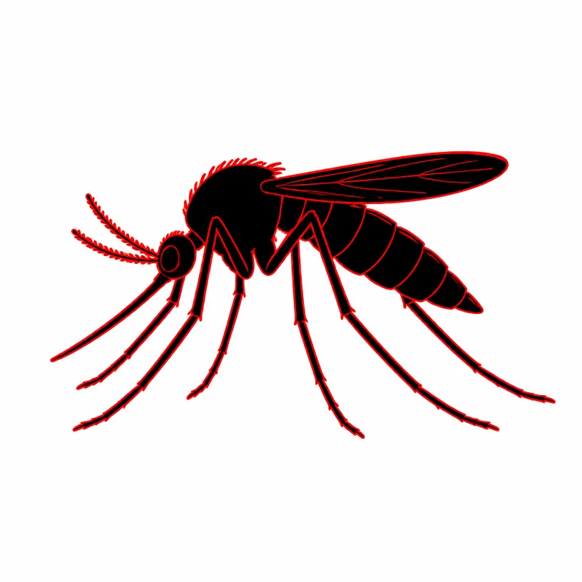 Mosquito Extermination Rochester