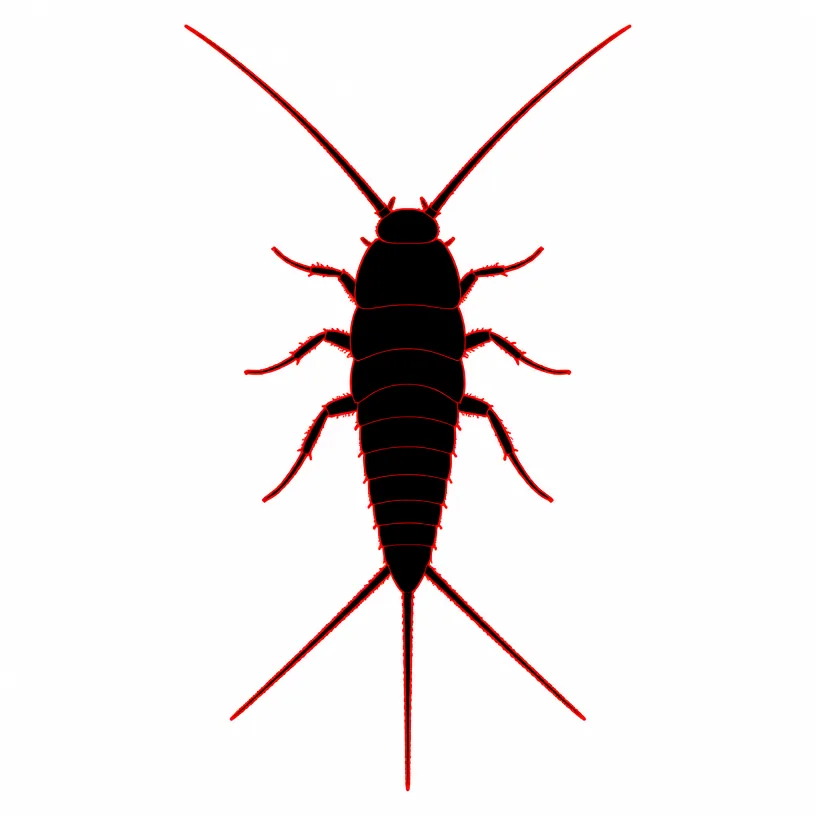 Silverfish Extermination Rochester