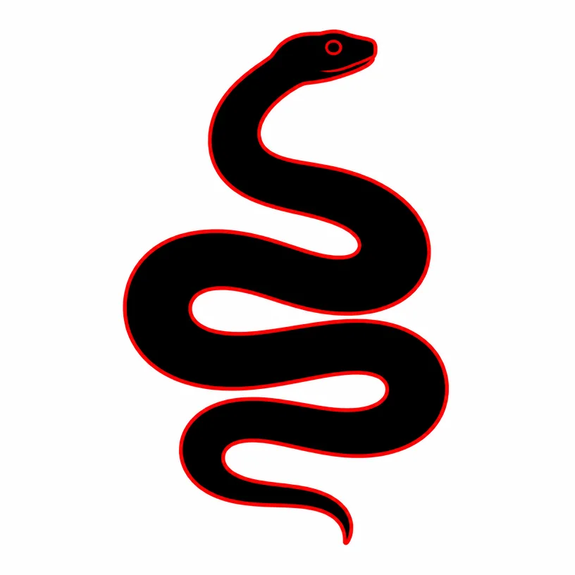 Snake Removal Rochester