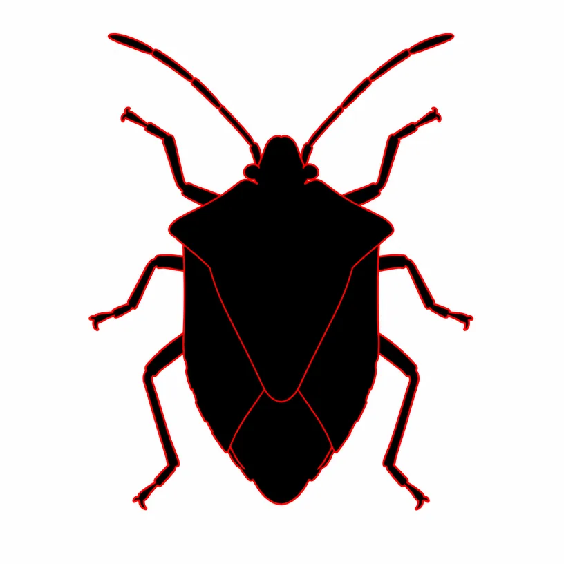 Stink Bug Extermination Rochester